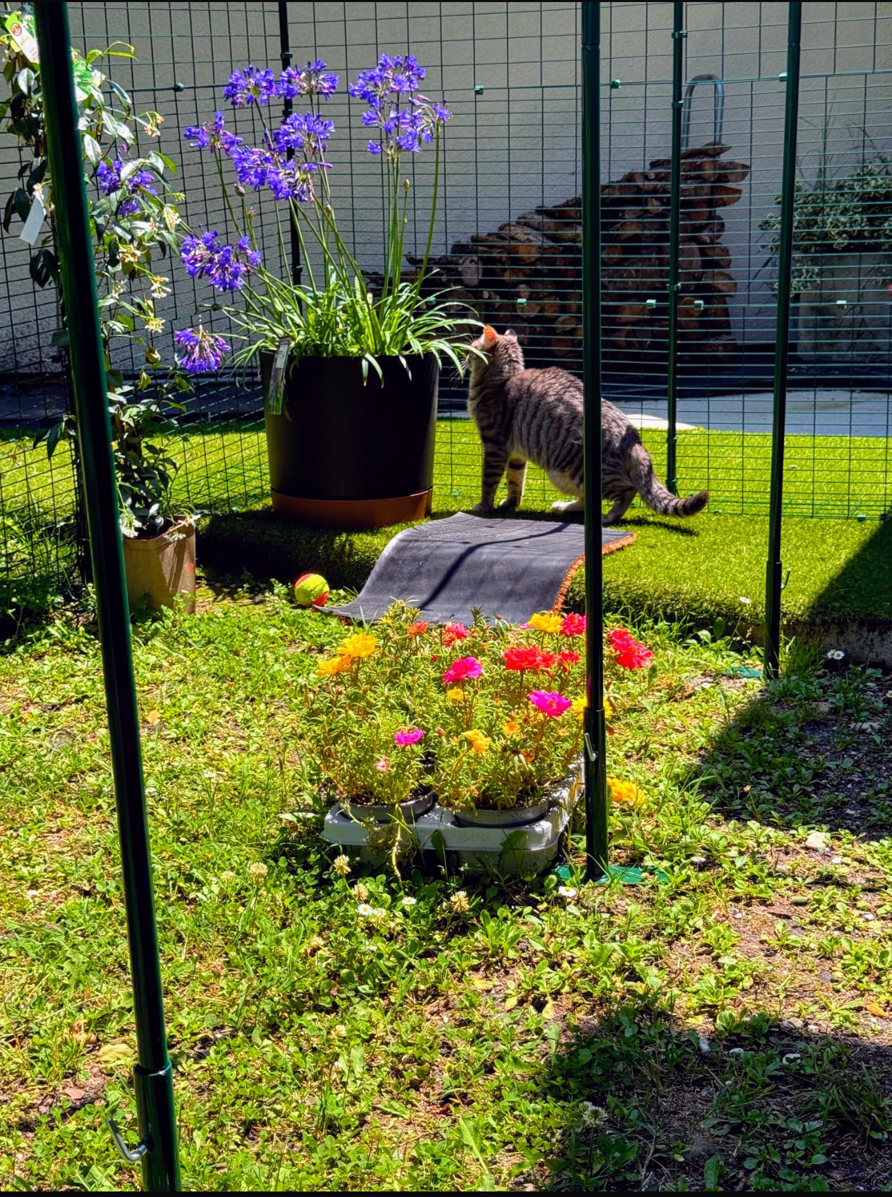 Un coin d'ombre et d'air frais en été.