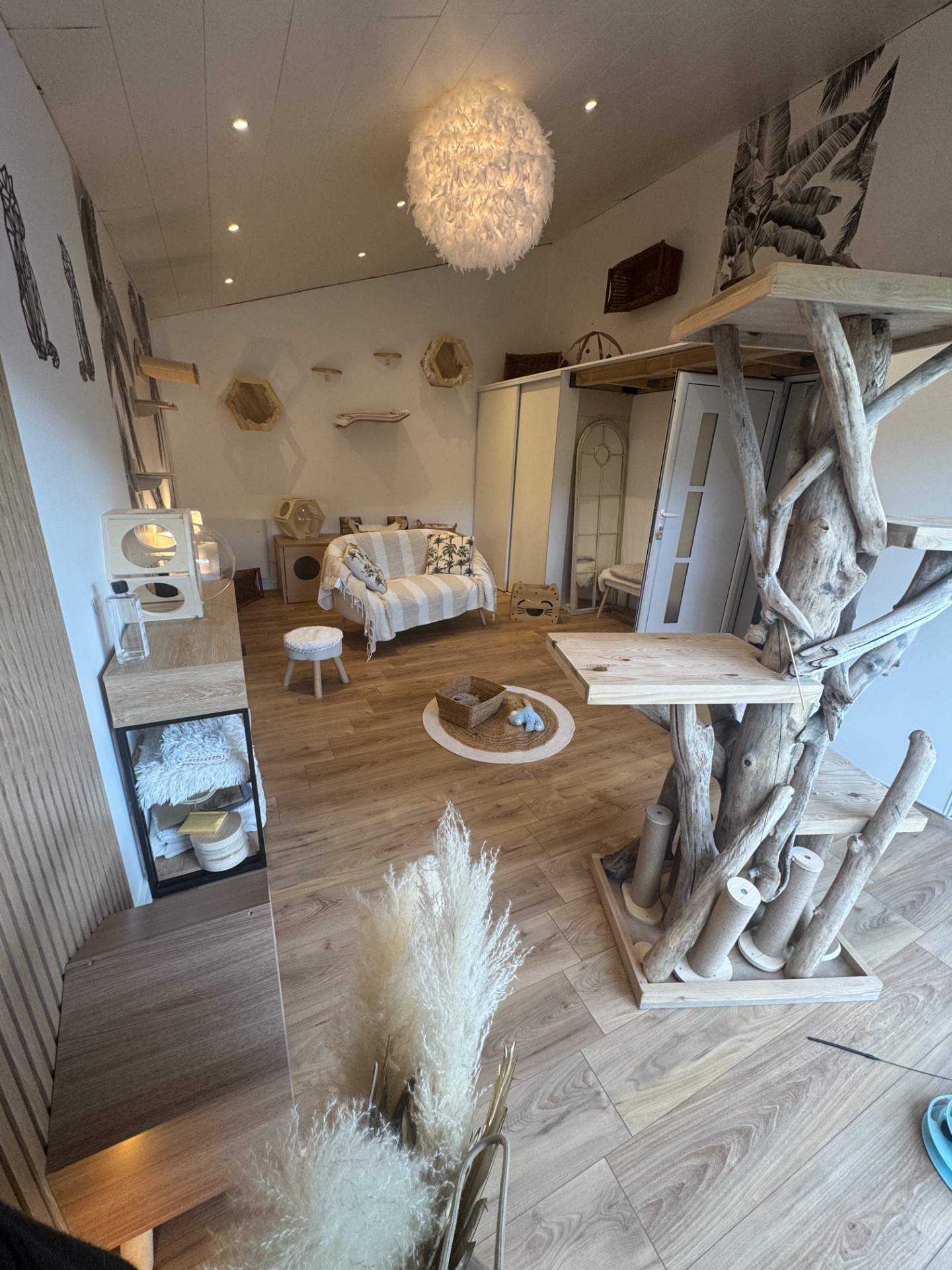 Chambre " L'Olympe" et son parcours mural avec mezzanine