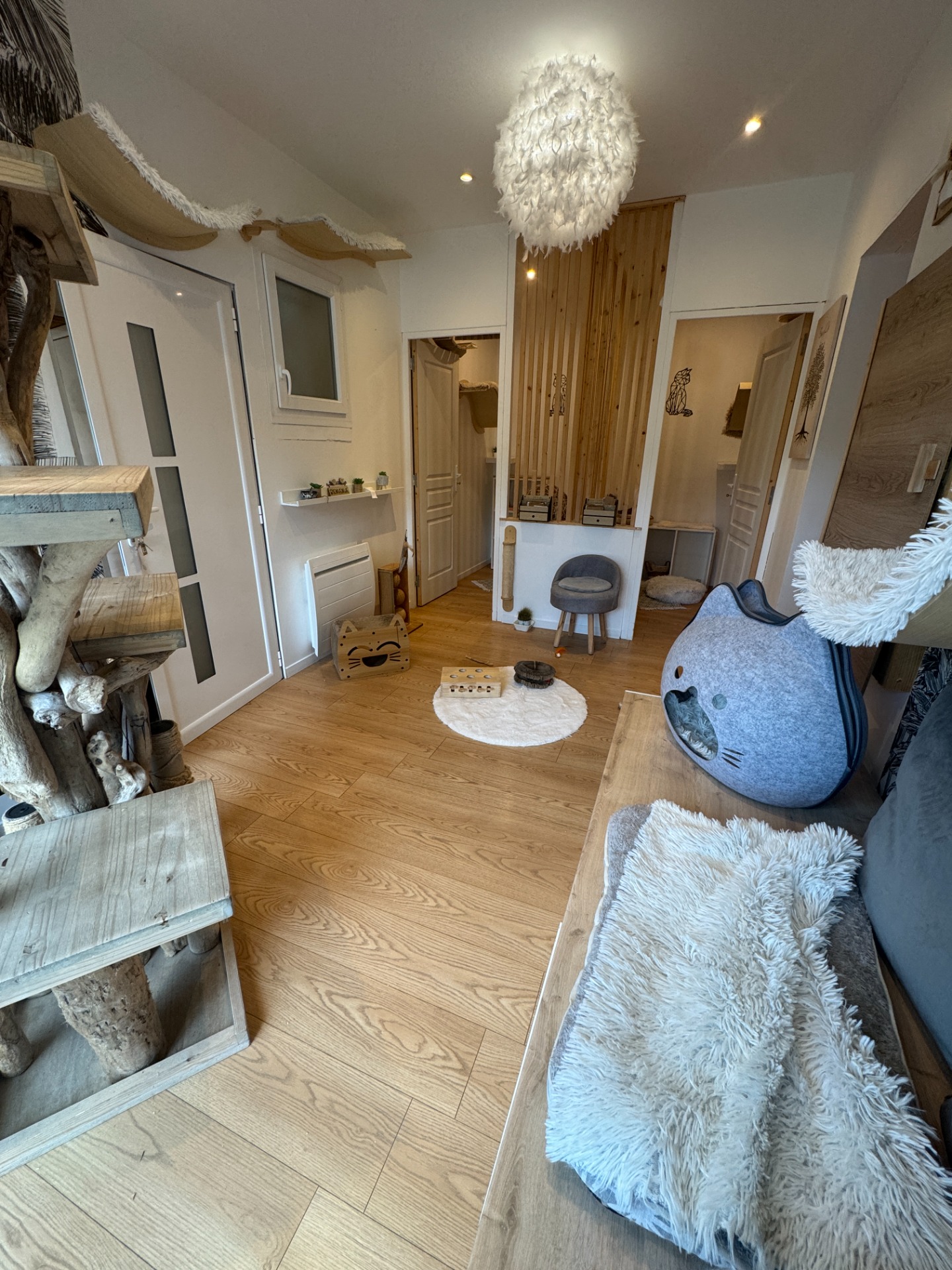  Deux espaces d'accueil individuel . 