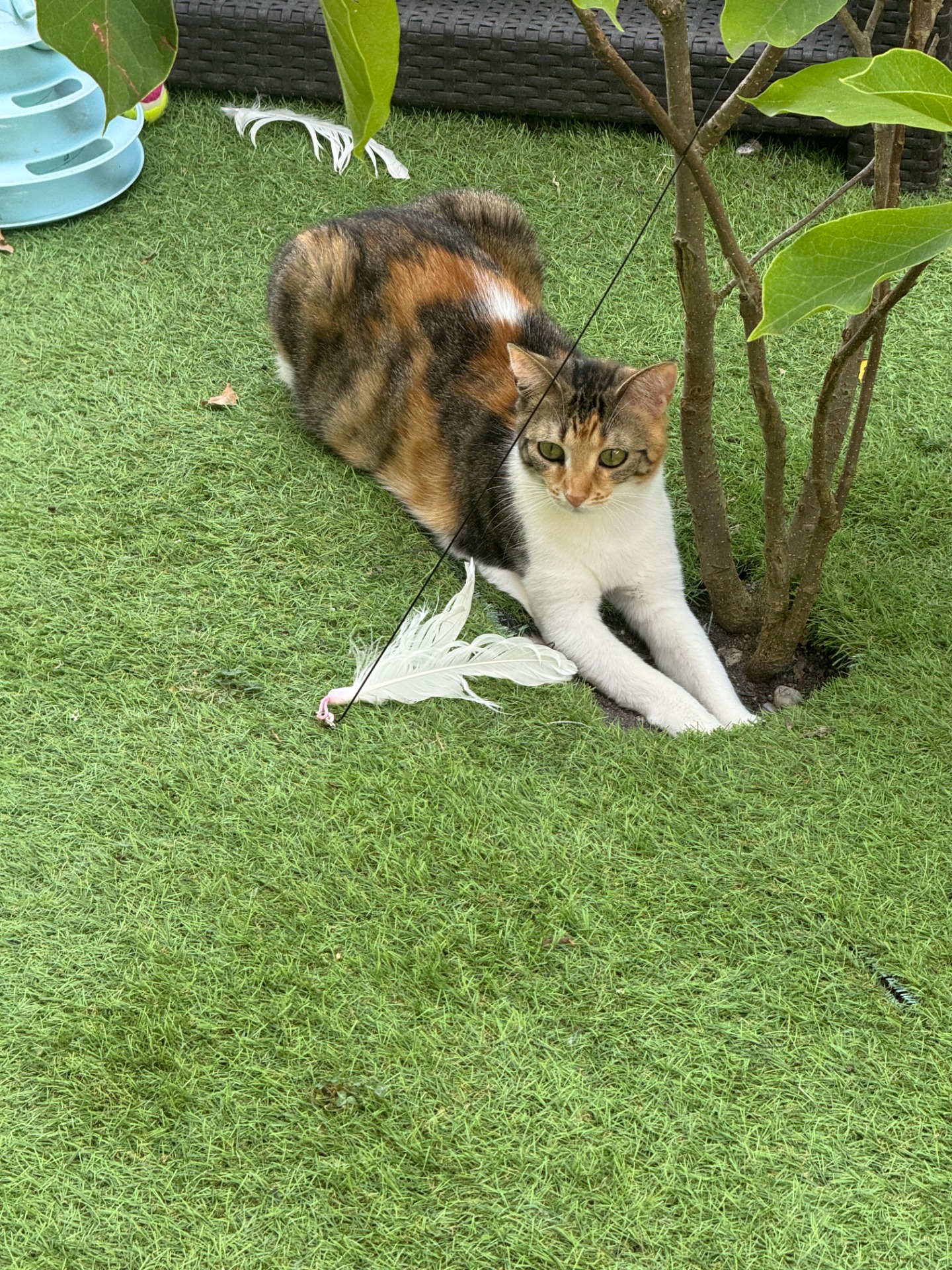 Chasse aux Trésors du jardin ! 