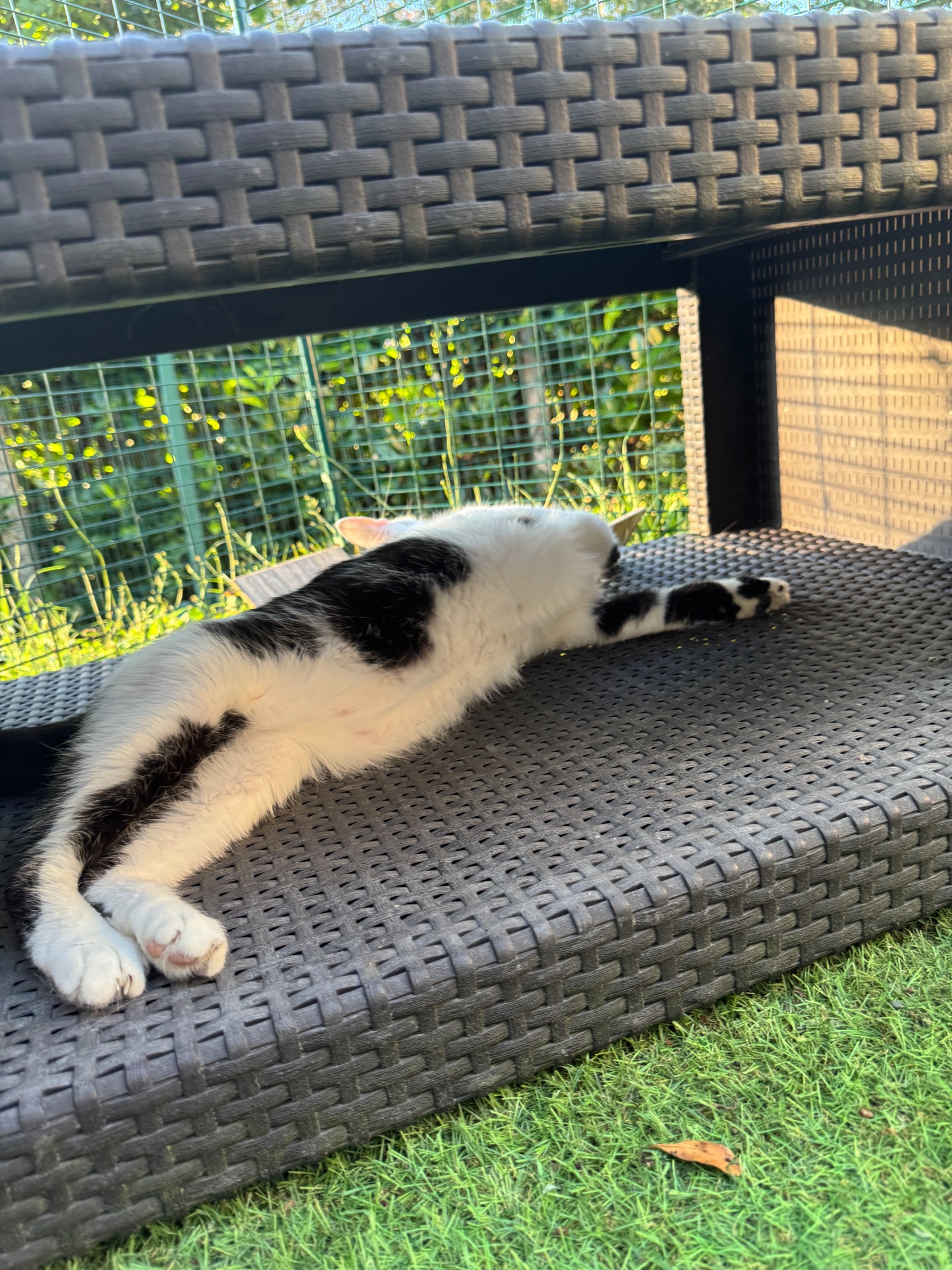 Farniente XXL au jardin ! 